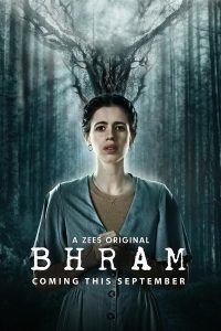 Download Bhram (2019) Season 1 Hindi Complete ZEE5 Original WEB Series 480p 720p