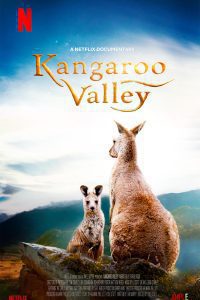 Download Kangaroo Valley (2022) Hindi Dubbed Full Movie Dual Audio {Hindi-English} 480p 720p 1080p