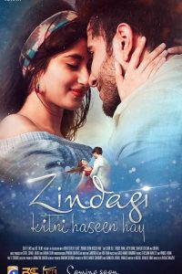 Download Zindagi Kitni Haseen Hay (2016) Urdu Full Movie 480p 720p 1080p