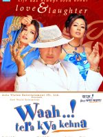 Download Waah Tera Kya Kehna (2002) Hindi Movie HS WebRip 480p 720p 1080p