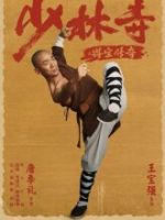 Download Rising Shaolin: The Protector (2021) Hindi Dubbed HDRip Dual Audio {Hindi-Chinese} Movie 480p 720p 1080p
