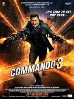 Download Commando 3 (2019) Hindi Full Movie 480p 720p 1080p
