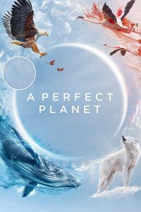 Download A perfect Planet (2021) Season 1 Dual Audio {Hindi-English} Web Series 480p 720p